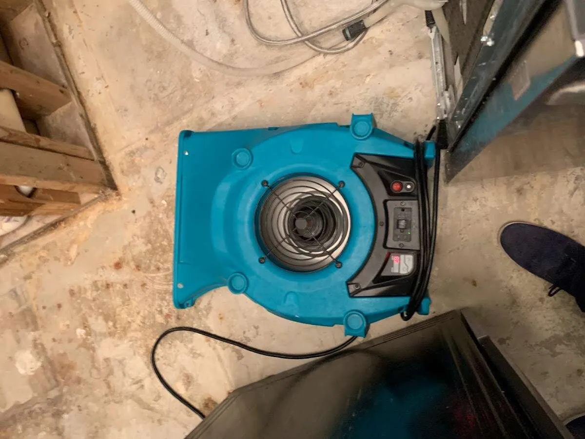 Air mover drying equipment for Mold Remediation & Removal in Broomfield