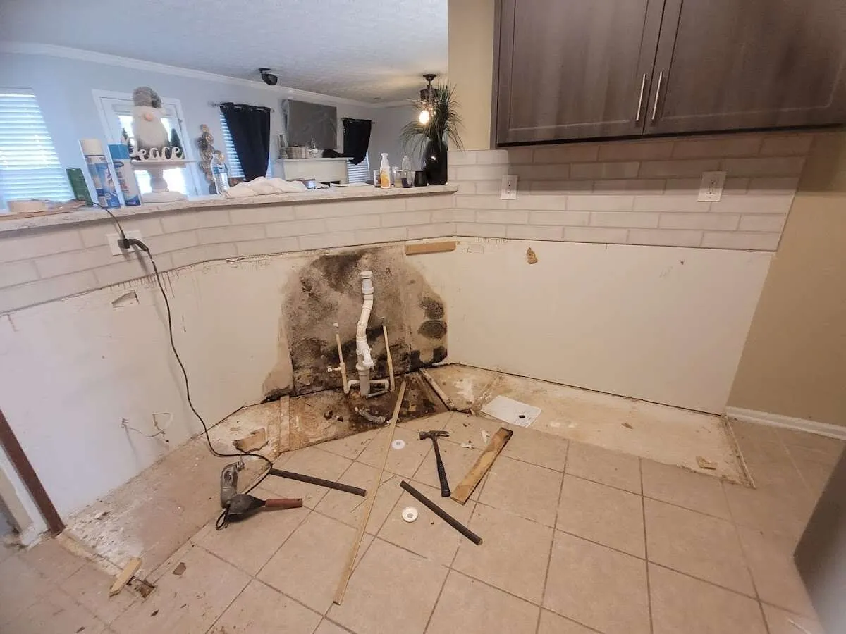 Mold behind wall with plumbing during Flood Damage Cleanup in Broomfield